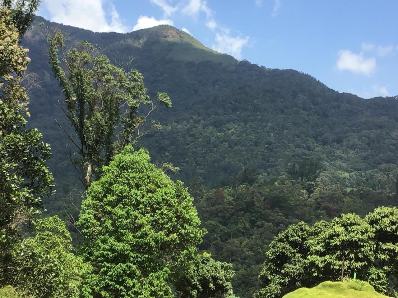 Wild Elephant Eco Friendly Resort Munnar Exterior foto